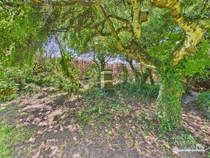 Garden- click for photo gallery